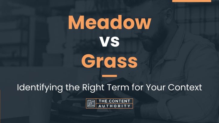 Meadow Vs Grass: Identifying The Right Term For Your Context