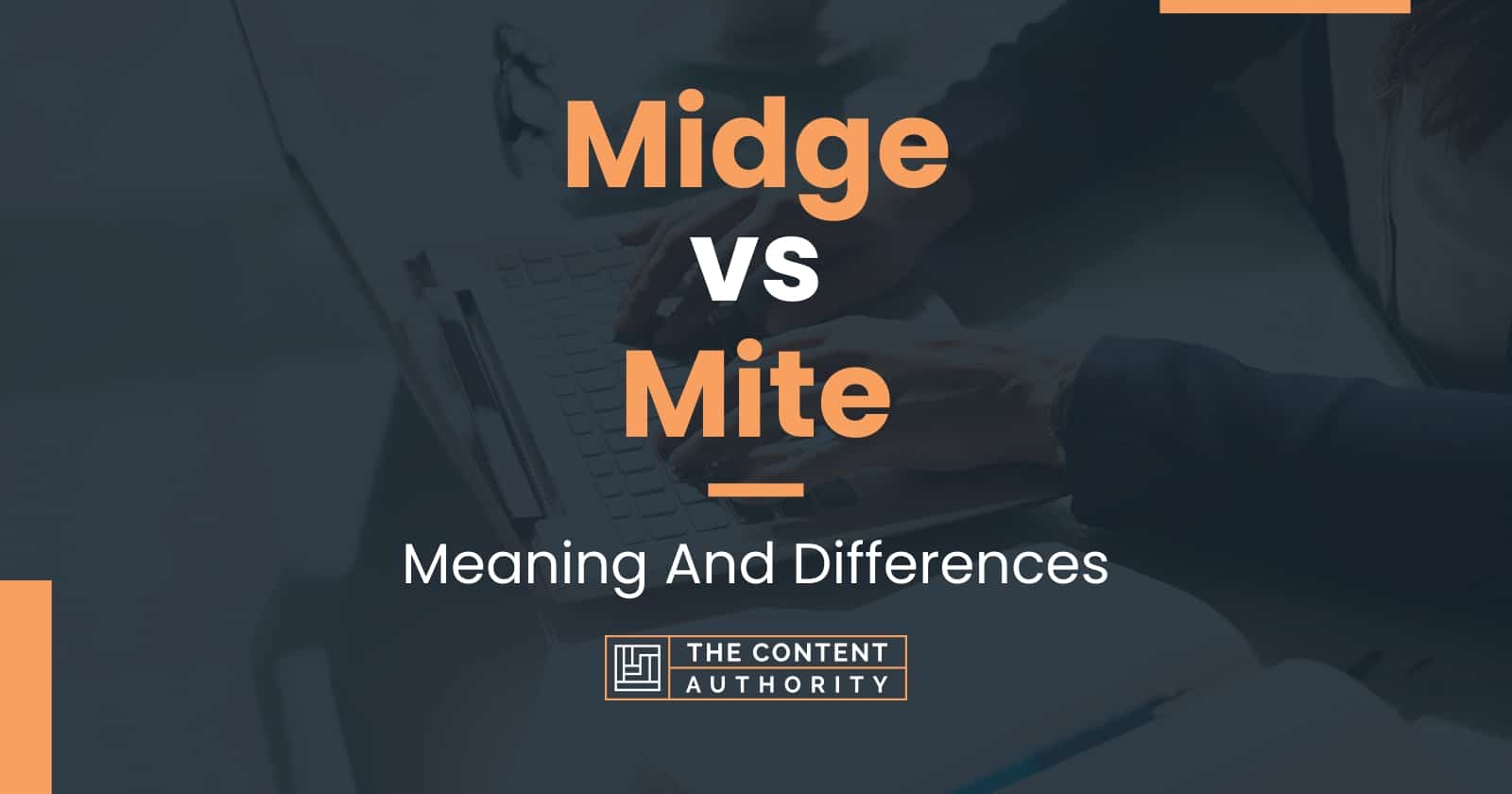 midge-vs-mite-meaning-and-differences