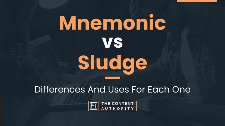 Mnemonic vs Sludge: Differences And Uses For Each One