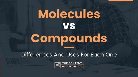 Molecules Vs Compounds: Differences And Uses For Each One