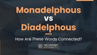 Monadelphous vs Diadelphous: How Are These Words Connected?