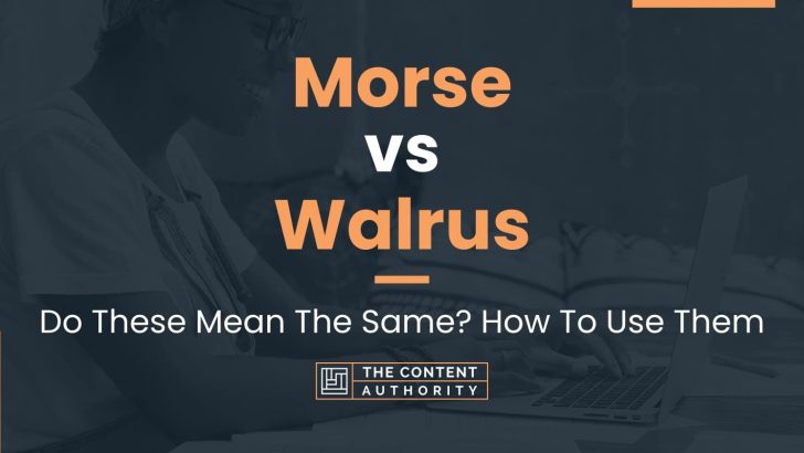 Morse vs Walrus: Do These Mean The Same? How To Use Them