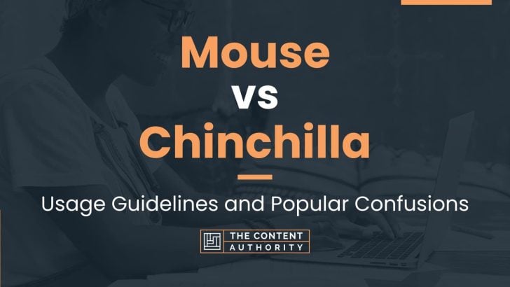 Mouse vs Chinchilla: Usage Guidelines and Popular Confusions