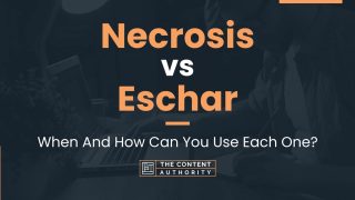 Necrosis vs Eschar: When And How Can You Use Each One?