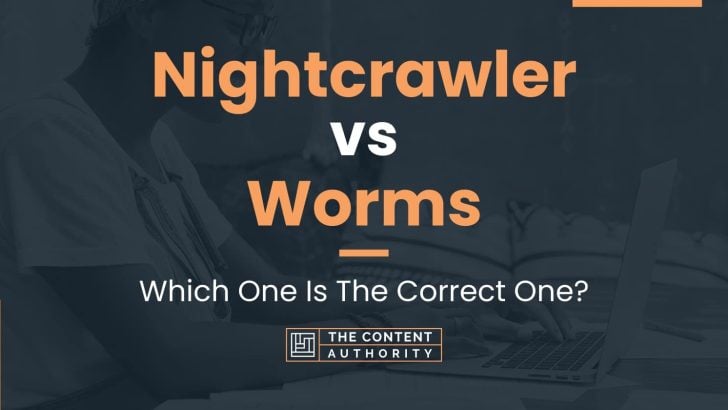 Nightcrawler vs Worms: Which One Is The Correct One?