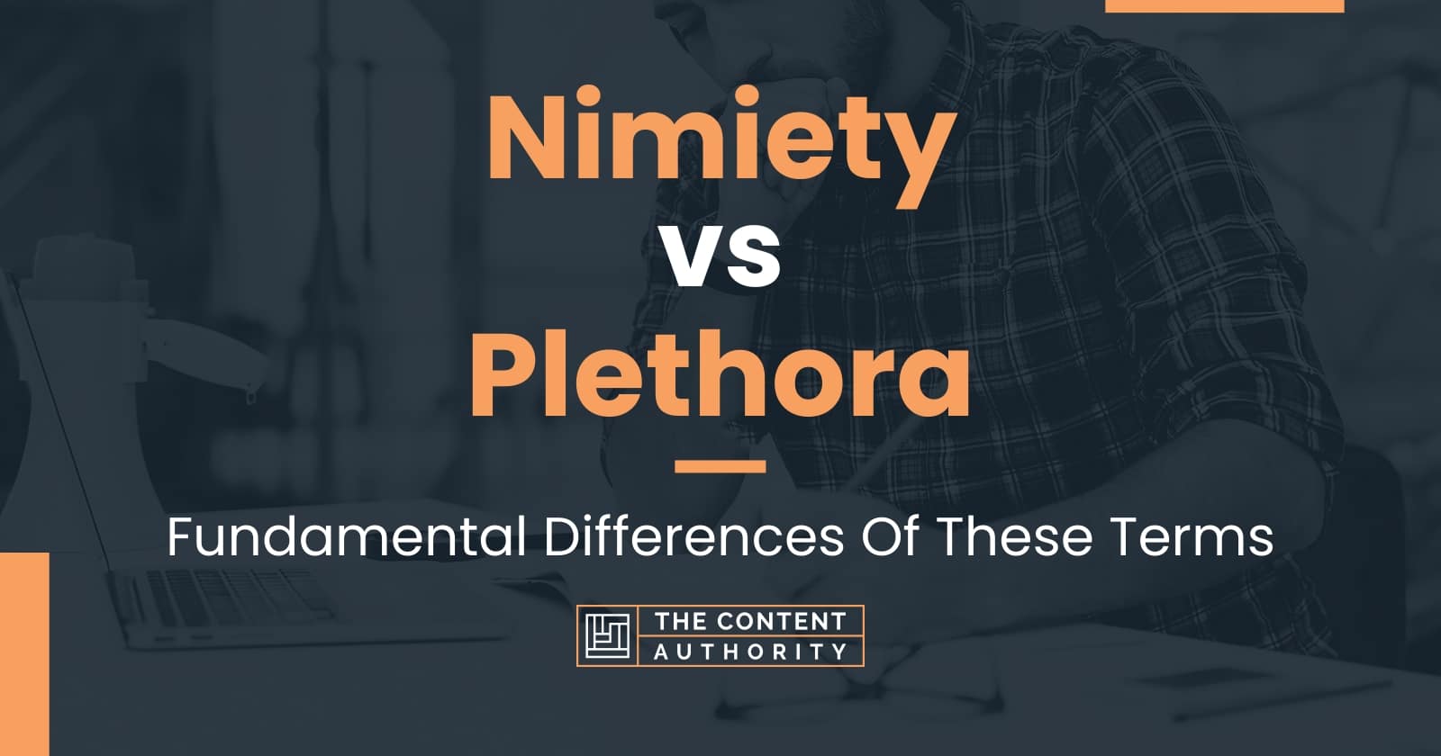 Nimiety vs Plethora: Fundamental Differences Of These Terms