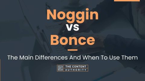 Noggin vs Bonce: The Main Differences And When To Use Them