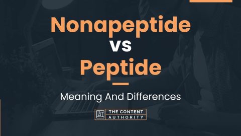 Nonapeptide vs Peptide: Meaning And Differences