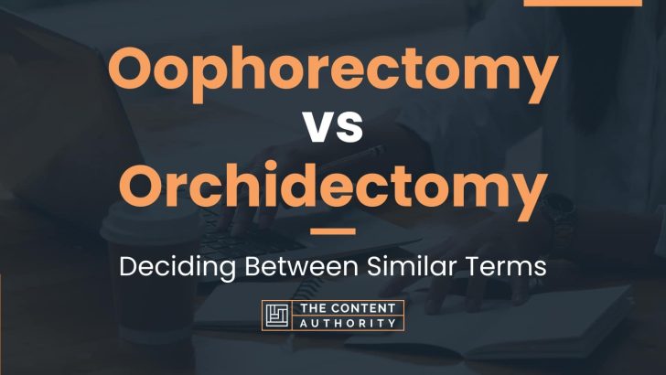 Oophorectomy vs Orchidectomy: Deciding Between Similar Terms