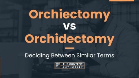 Orchiectomy vs Orchidectomy: Deciding Between Similar Terms