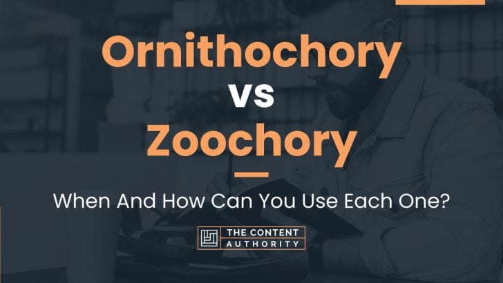 Ornithochory vs Zoochory: When And How Can You Use Each One?