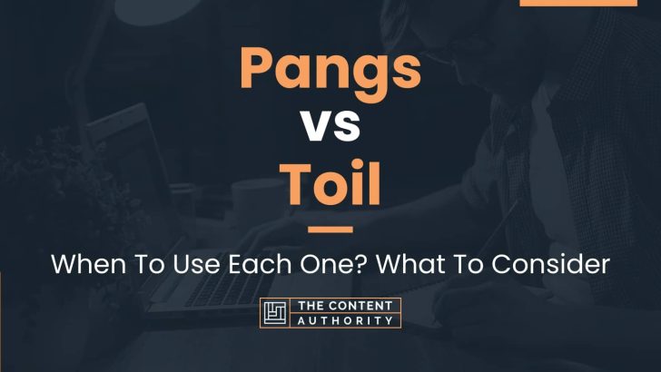 Pangs vs Toil: When To Use Each One? What To Consider