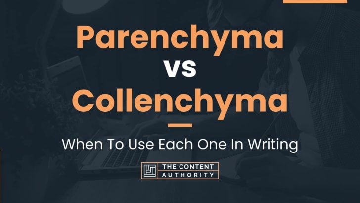 Parenchyma vs Collenchyma: When To Use Each One In Writing