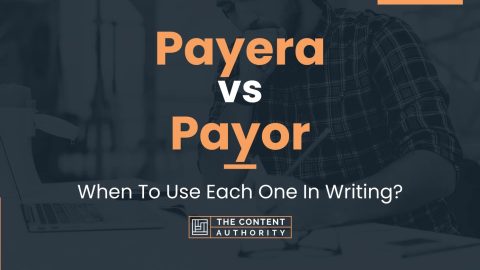 Payera vs Payor: When To Use Each One In Writing?