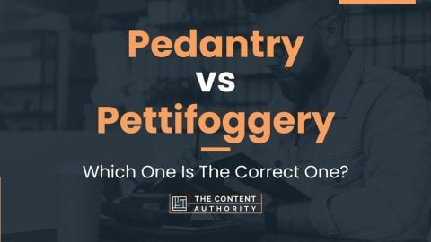 Pedantry vs Pettifoggery: Which One Is The Correct One?