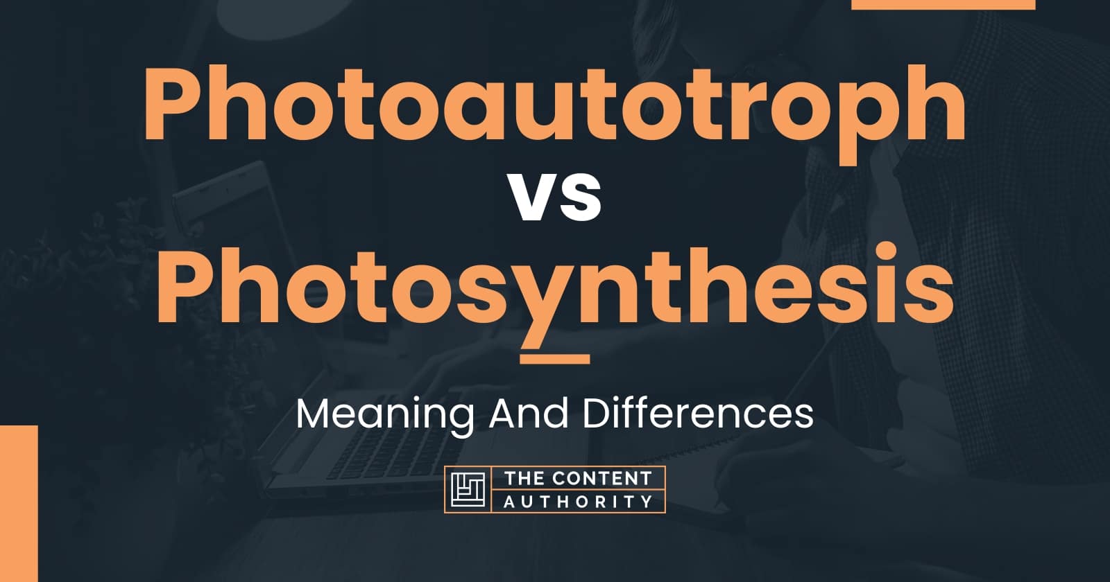 photoautotrophes