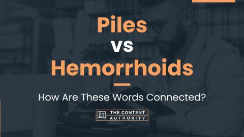 Piles vs Hemorrhoids: How Are These Words Connected?