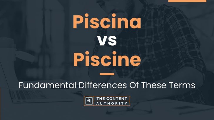 Piscina vs Piscine: Fundamental Differences Of These Terms