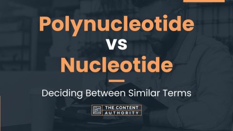 Polynucleotide vs Nucleotide: Deciding Between Similar Terms