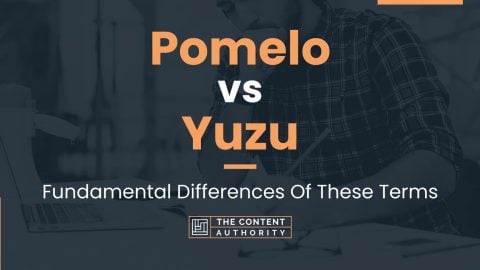 Pomelo vs Yuzu: Fundamental Differences Of These Terms