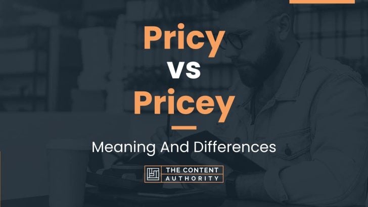 Pricy vs Pricey: Meaning And Differences