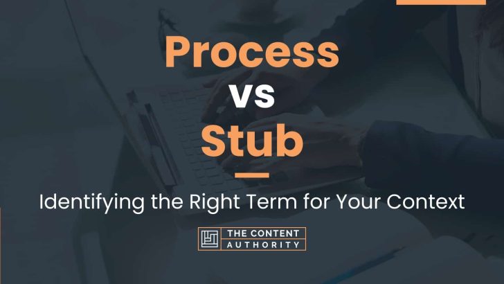 Process vs Stub: Identifying the Right Term for Your Context