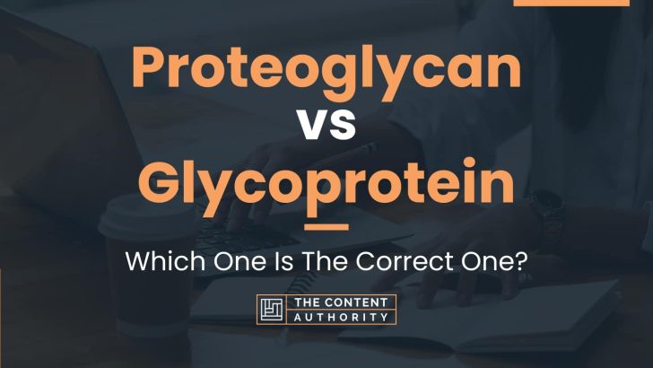 Proteoglycan vs Glycoprotein: Which One Is The Correct One?