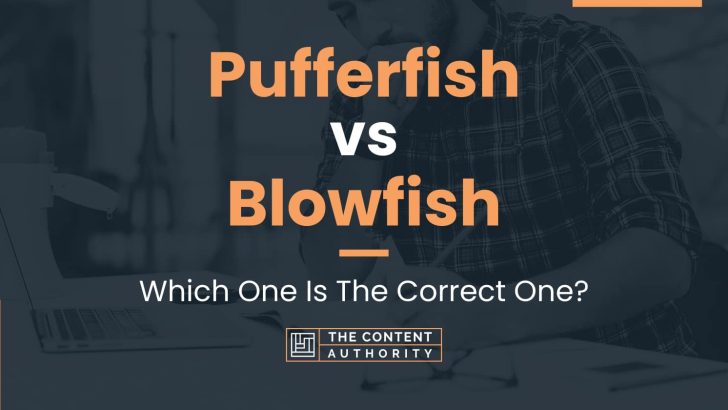 Pufferfish vs Blowfish: Which One Is The Correct One?