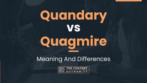 Quandary vs Quagmire: Meaning And Differences