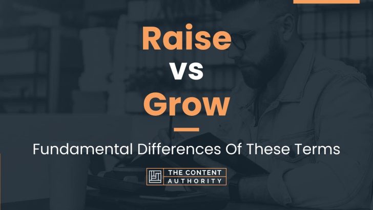 Raise vs Grow: Fundamental Differences Of These Terms