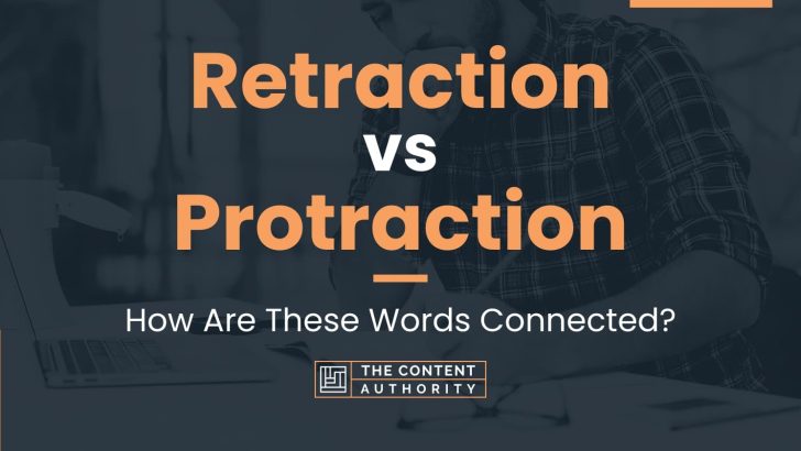 Retraction vs Protraction: How Are These Words Connected?