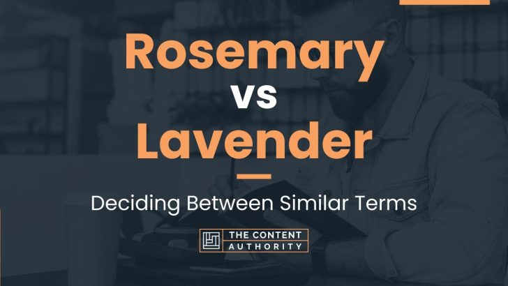 Rosemary vs Lavender: Deciding Between Similar Terms