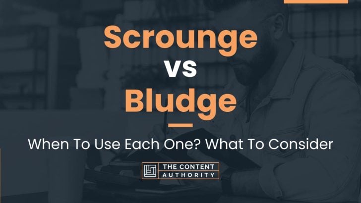 Scrounge vs Bludge: When To Use Each One? What To Consider