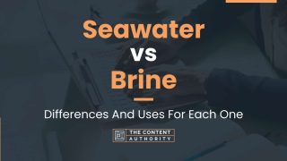 Seawater vs Brine: Differences And Uses For Each One