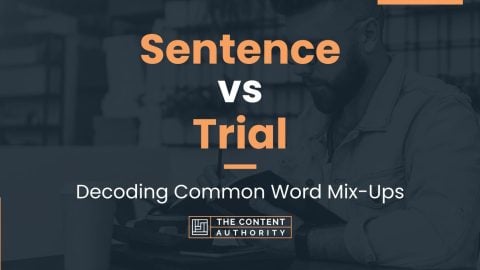 Sentence vs Trial: Decoding Common Word Mix-Ups