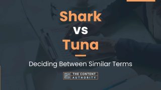 Shark vs Tuna: Deciding Between Similar Terms