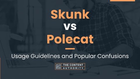 Skunk vs Polecat: Usage Guidelines and Popular Confusions