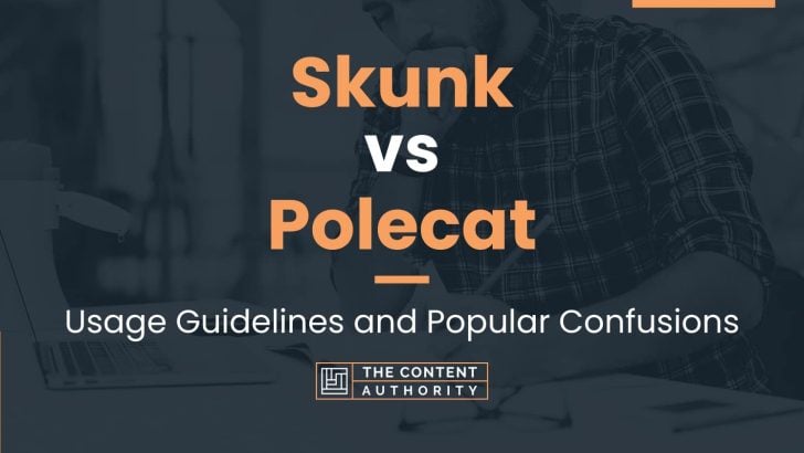 Skunk Vs Polecat Usage Guidelines And Popular Confusions