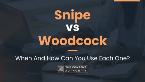 Snipe vs Woodcock: When And How Can You Use Each One?