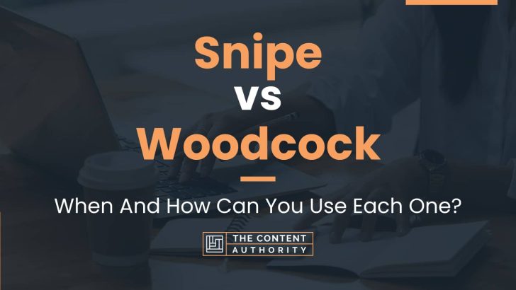 Snipe vs Woodcock: When And How Can You Use Each One?