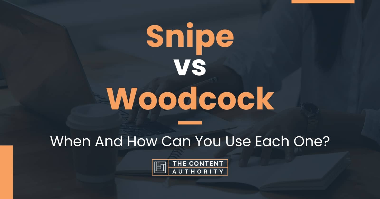 Snipe Vs Woodcock When And How Can You Use Each One 