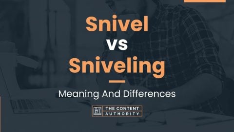 Snivel vs Sniveling: Meaning And Differences