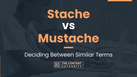 Stache vs Mustache: Deciding Between Similar Terms