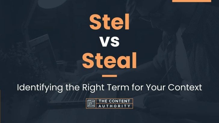 Stel vs Steal: Identifying the Right Term for Your Context