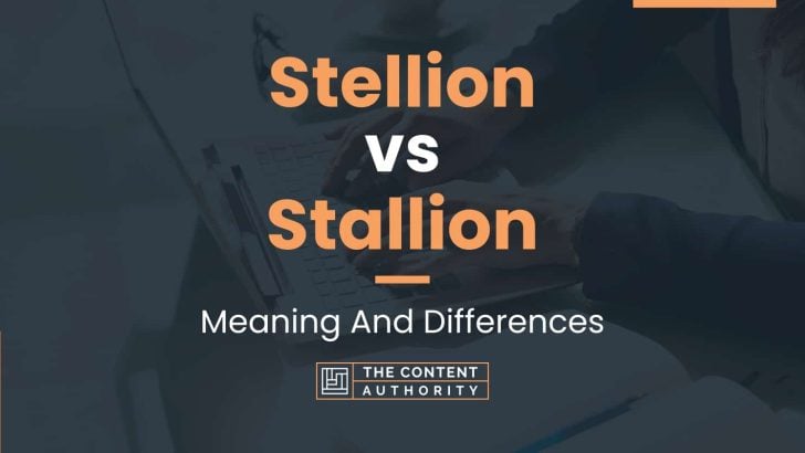 Stellion vs Stallion: Meaning And Differences