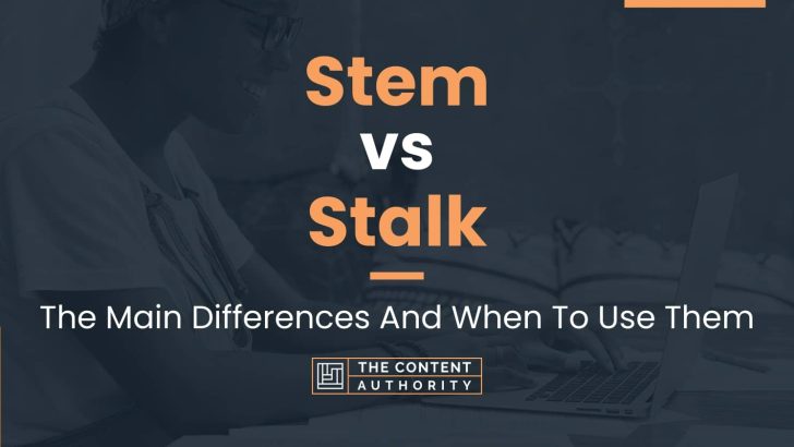 Stem vs Stalk: The Main Differences And When To Use Them