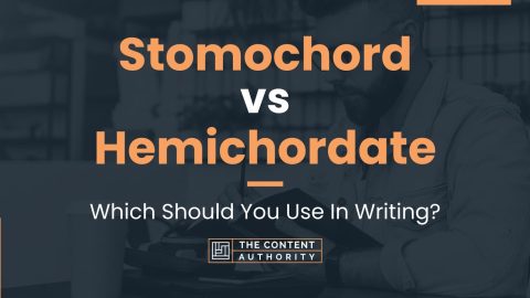 Stomochord vs Hemichordate: Which Should You Use In Writing?