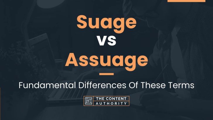 Suage vs Assuage: Fundamental Differences Of These Terms
