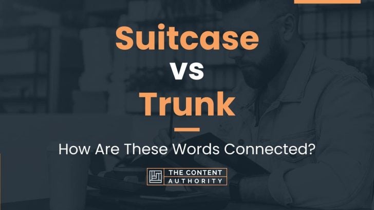 Suitcase vs Trunk: How Are These Words Connected?