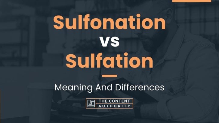 Sulfonation vs Sulfation: Meaning And Differences